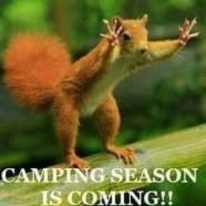 Meet your Posher, Timmy